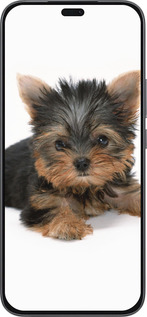 Силіконовий чехол Цуценя йоркширського тер'єра для Huawei Honor 400 Lite 5G - 931u-3993 изображение 