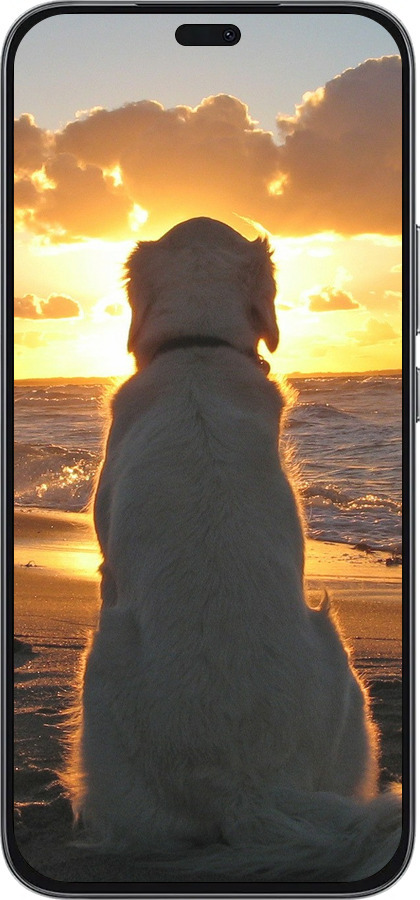 Силиконовый чехол Закат и собака для Huawei Honor 400 Lite 5G - 3966u-3993 изображение 