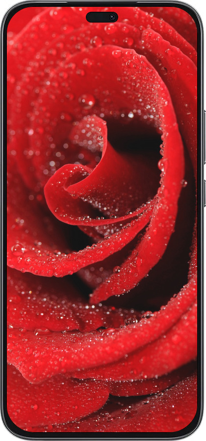 Силиконовый чехол Красная роза для Huawei Honor 400 Lite 5G - 529u-3993 изображение 