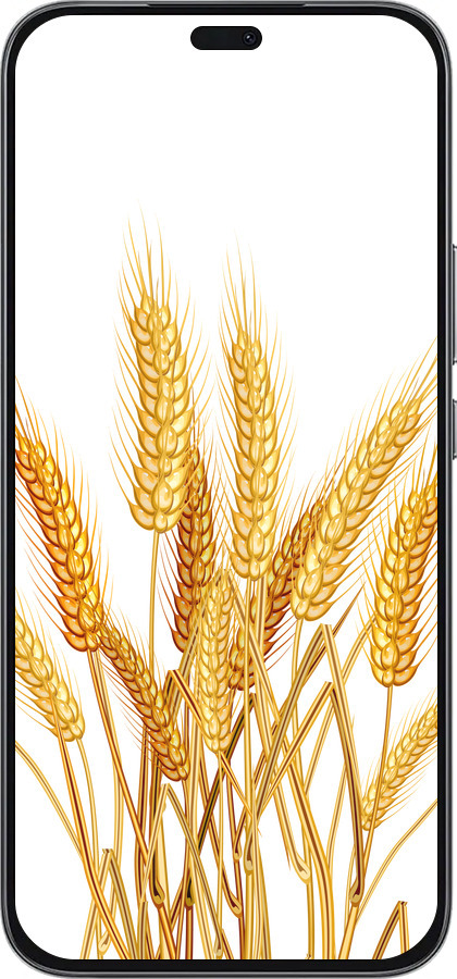 Силиконовый чехол Колоски пшеници для Huawei Honor 400 Lite 5G - 5866u-3993 изображение 