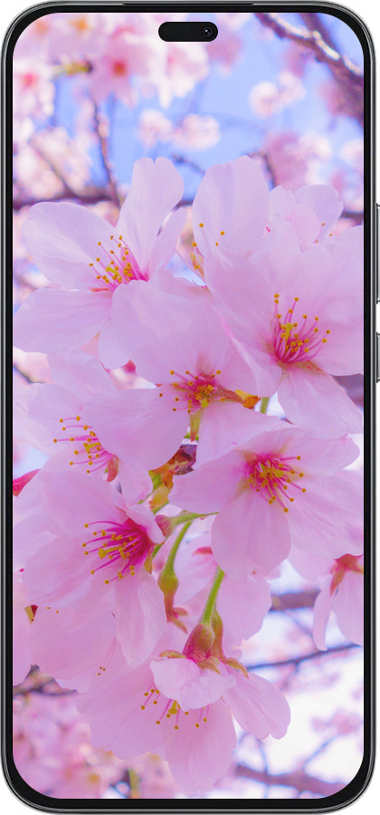 Силиконовый чехол Сакура для Huawei Honor 400 Lite 5G - 6029u-3993 изображение 