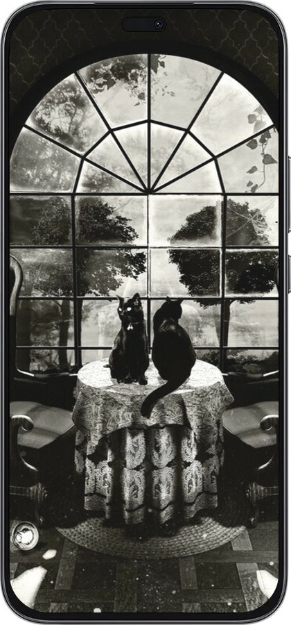 Силиконовый чехол Череп и коты для Huawei Honor 400 Lite 5G - 6432u-3993 изображение 