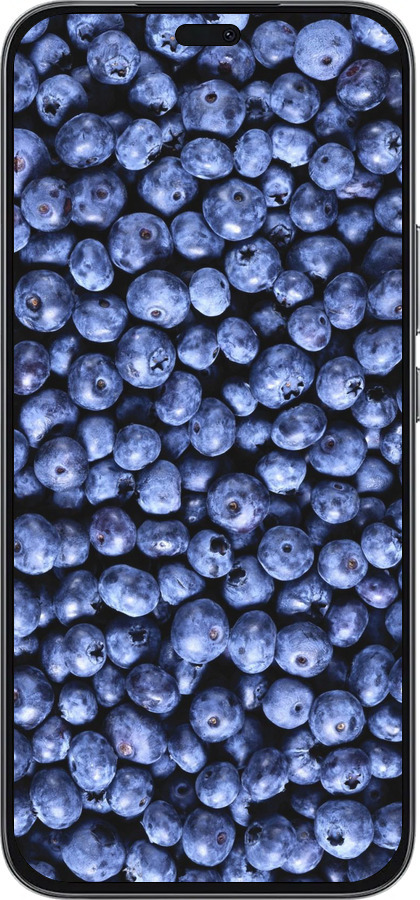 Силиконовый чехол Черника для Huawei Honor 400 Lite 5G - 851u-3993 изображение 