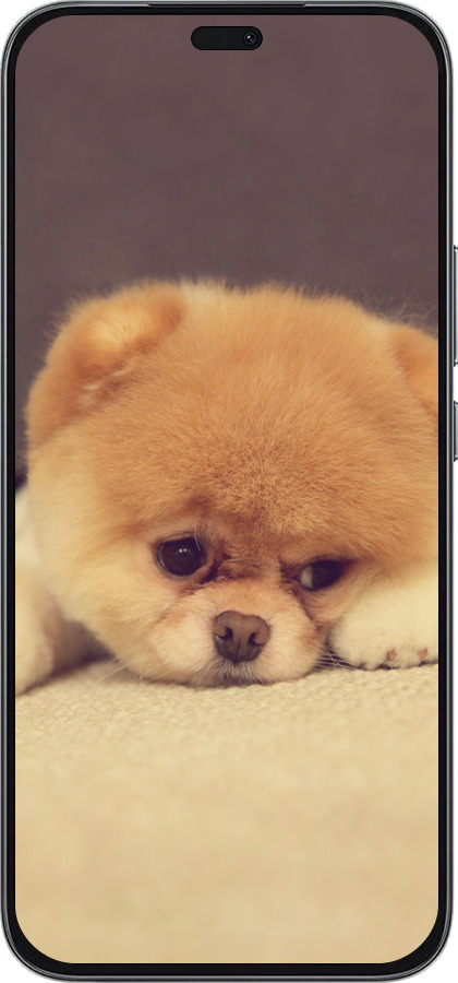 Силиконовый чехол Boo 2 для Huawei Honor 400 Lite 5G - 890u-3993 изображение 