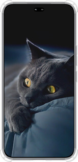 Силикон с усиленными углами чехол Дымчатый кот для Huawei Honor 400 PRO 5G - 825sp-4036 изображение 