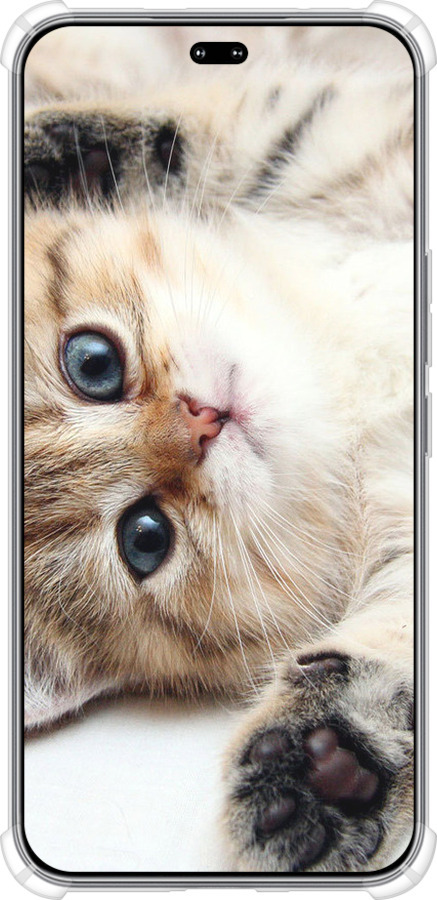 Силикон с усиленными углами чехол Котик для Huawei Honor 400 PRO 5G - 6024sp-4036 изображение 