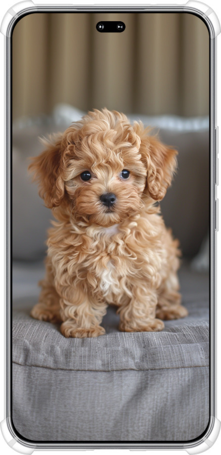 Силикон с усиленными углами чехол Mini-maltipoo для Huawei Honor 400 PRO 5G - 6158sp-4036 изображение 
