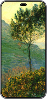 Силиконовый чехол Клод Моне для Huawei Honor 400 PRO 5G - 1193u-4036 изображение 