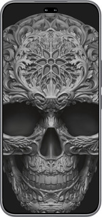 Силиконовый чехол skull-ornament для Huawei Honor 400 PRO 5G - 4101u-4036 изображение 