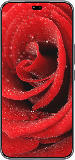 Силиконовый чехол Красная роза для Huawei Honor 400 PRO 5G - 529u-4036 изображение 