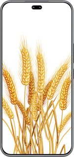 Силиконовый чехол Колоски пшеници для Huawei Honor 400 PRO 5G - 5866u-4036 изображение 