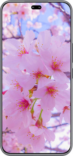 Силиконовый чехол Сакура для Huawei Honor 400 PRO 5G - 6029u-4036 изображение 