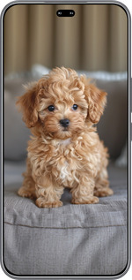 Силиконовый чехол Mini-maltipoo для Huawei Honor 400 PRO 5G - 6158u-4036 изображение 