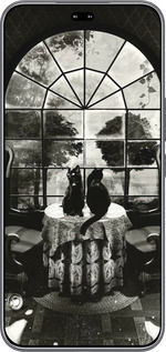 Силиконовый чехол Череп и коты для Huawei Honor 400 PRO 5G - 6432u-4036 изображение 