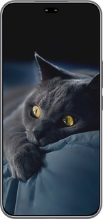 Силіконовий чехол Димчастий кіт для Huawei Honor 400 PRO 5G - 825u-4036 изображение 