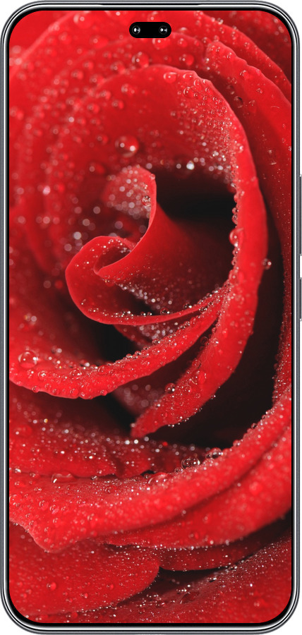 Силиконовый чехол Красная роза для Huawei Honor 400 PRO 5G - 529u-4036 изображение 