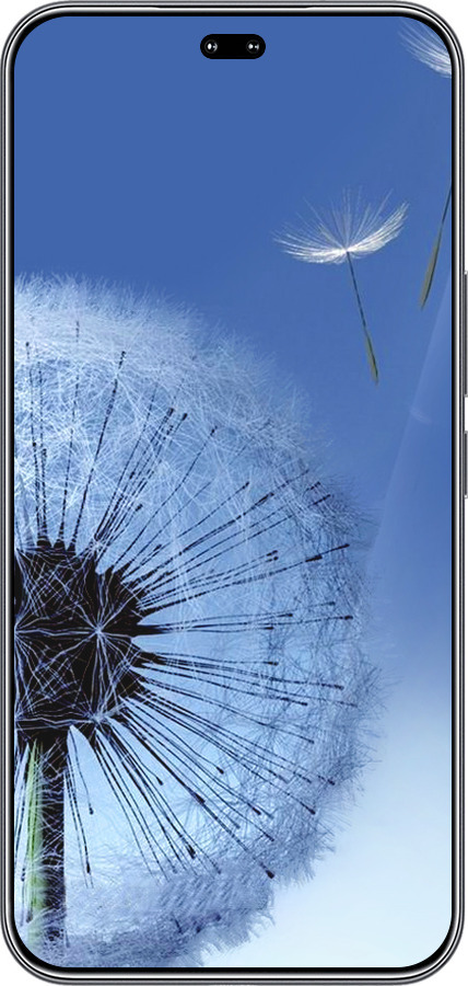 Силиконовый чехол Одуванчик для Huawei Honor 400 PRO 5G - 6005u-4036 изображение 