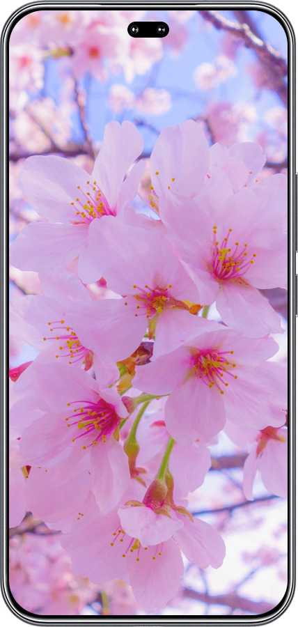 Силиконовый чехол Сакура для Huawei Honor 400 PRO 5G - 6029u-4036 изображение 