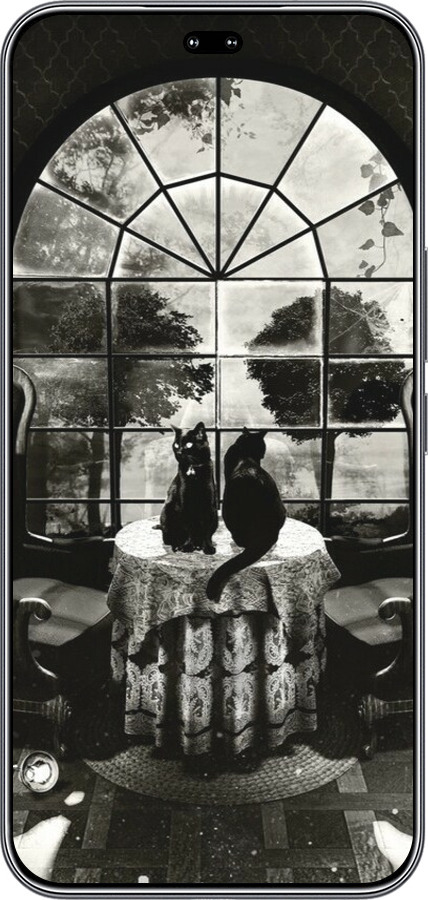 Силиконовый чехол Череп и коты для Huawei Honor 400 PRO 5G - 6432u-4036 изображение 