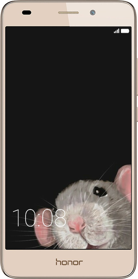 2D пластиковый чехол The Peeking Rat для Huawei GT3 - 6442t-472 изображение 