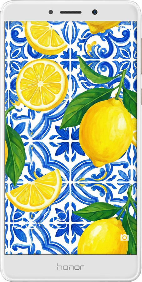 2D пластиковый чехол Grocery Girl Italian Summer для Huawei Honor 6X - 6766t-460 изображение 