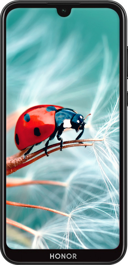 TPU чехол Божья коровка для Huawei Honor 8S - 6049b-1679 изображение 