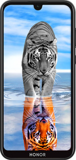 2D пластиковый чехол Тигр для Huawei Honor 8S - 6016t-1679 изображение 