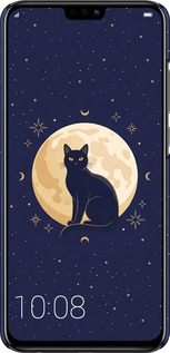 3D пластиковый матовый чехол Cute Cat Celestial/Witchy для Huawei Honor 8X - 6787m-1596 изображение 