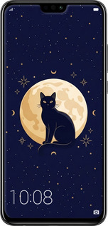 2D пластиковый чехол Cute Cat Celestial/Witchy для Huawei Honor 8X - 6787t-1596 изображение 