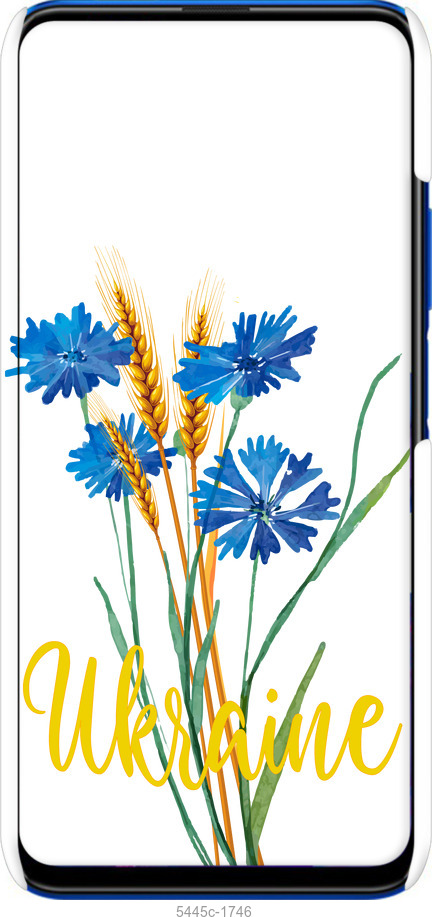 3D пластиковый матовый чехол Ukraine v2 для Huawei Honor 9X - 5445m-1746 изображение 