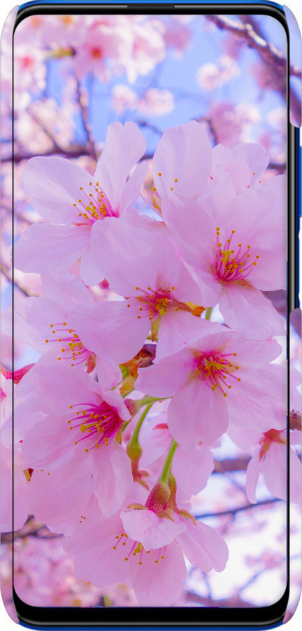 3D пластиковый матовый чехол Сакура для Huawei Honor 9X - 6029m-1746 изображение 