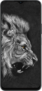 Силиконовый чехол Лев для Huawei honor X6 - 1080u-3341 изображение 