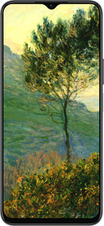 Силіконовий чехол Клод Моне для Huawei Honor X8 5G - 1193u-4149 изображение 