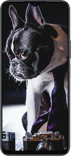 Силиконовый чехол Бульдог-фотограф для Huawei honor X6 - 142u-3341 изображение 