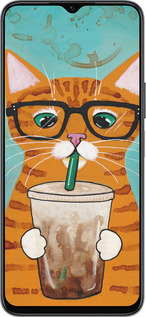 Силиконовый чехол Зеленоглазый кот в очках для Huawei honor X6 - 4054u-3341 изображение 