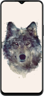 Силиконовый чехол Волк-арт для Huawei honor X6 - 4163u-3341 изображение 