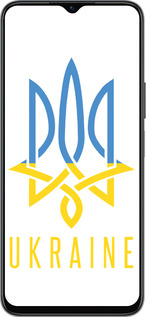 Силиконовый чехол Герб v2 для Huawei honor X6 - 5259u-3341 изображение 