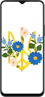 Силиконовый чехол Герб v3 для Huawei honor X6 - 5265u-3341 изображение 