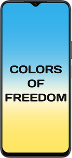 Силиконовый чехол Colors of Freedom для Huawei honor X6 - 5453u-3341 изображение 