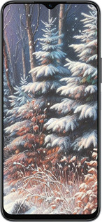 Силиконовый чехол Зимний пейзаж для Huawei honor X6 - 5814u-3341 изображение 