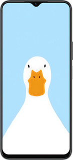 Силиконовый чехол Гусь для Huawei Honor X8 5G - 6350u-4149 изображение 