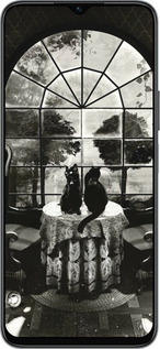 Силиконовый чехол Череп и коты для Huawei honor X6 - 6432u-3341 изображение 