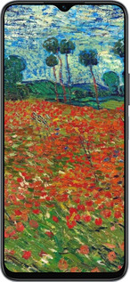 Силиконовый чехол Винсент Ван Гог-Маковое поле для Huawei honor X6 - 6466u-3341 изображение 