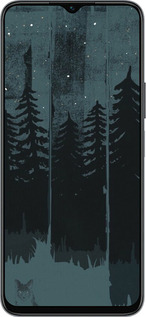 Силиконовый чехол Лиса и ночной лес для Huawei honor X6 - 6481u-3341 изображение 