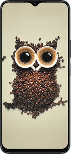 Силиконовый чехол Сова из кофе для Huawei honor X6 - 777u-3341 изображение 
