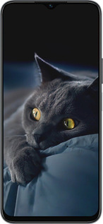 Силиконовый чехол Дымчатый кот для Huawei honor X6 - 825u-3341 изображение 