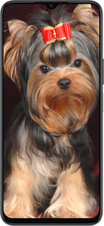 Силиконовый чехол Йоркширский терьер для Huawei honor X6 - 929u-3341 изображение 