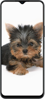 Силиконовый чехол Щенок йоркширского терьера для Huawei honor X6 - 931u-3341 изображение 