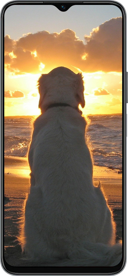 Силиконовый чехол Закат и собака для Huawei honor X6 - 3966u-3341 изображение 