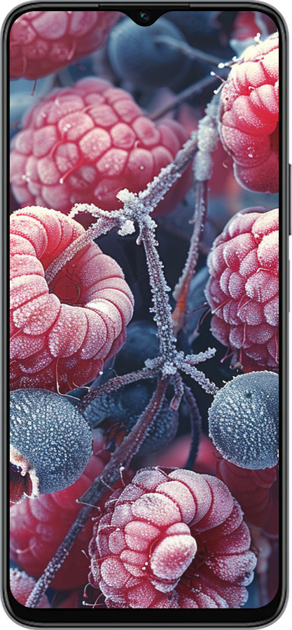 Силиконовый чехол Морозные ягоды для Huawei honor X6 - 6033u-3341 изображение 